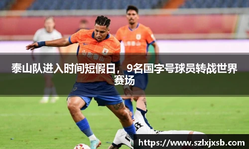 BB贝博艾弗森体育