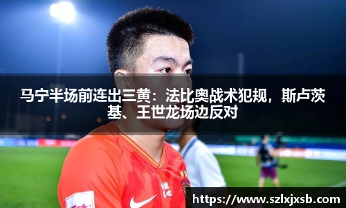 马宁半场前连出三黄：法比奥战术犯规，斯卢茨基、王世龙场边反对